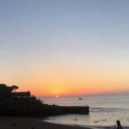 Apartman A L Oree Du Moriscot, Chouette T3, Ideale Famille ,4 A 6 Personnes, Tres Bien Desservie *