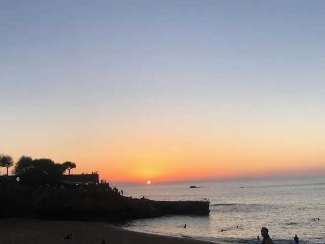 Apartman A L Oree Du Moriscot, Chouette T3, Ideale Famille ,4 A 6 Personnes, Tres Bien Desservie *